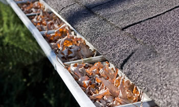 gutter cleaning Austin